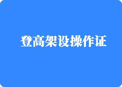 我要日BB登高架设操作证